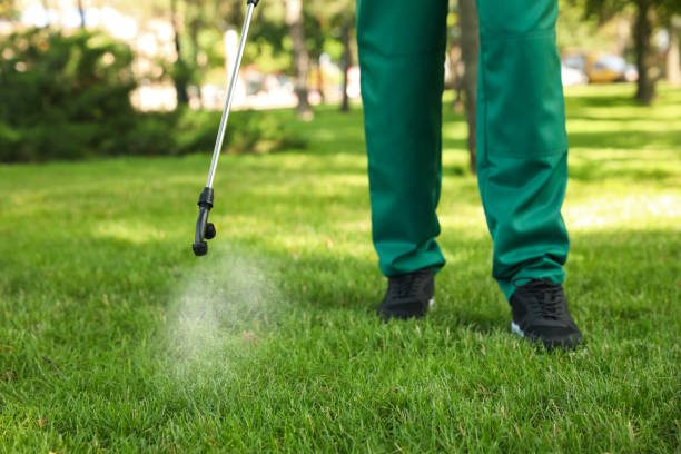 Best Exterminator Services  in Belvidere, IL