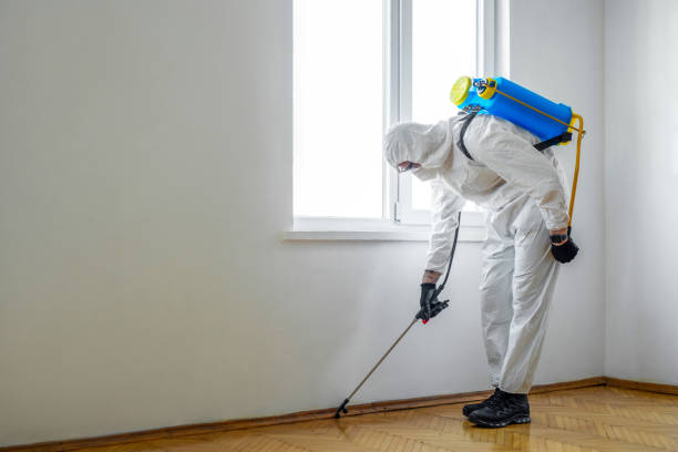 Flea Control Services in Belvidere, IL