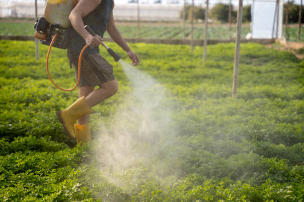 Best Pest Control Near Me in Belvidere, IL