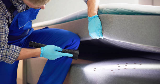 Best Flea Control Services  in Belvidere, IL
