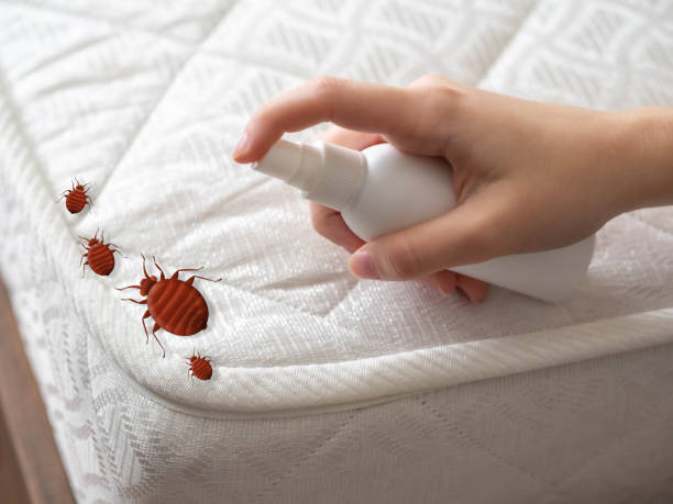 Best Best Pest Control Near Me  in Belvidere, IL