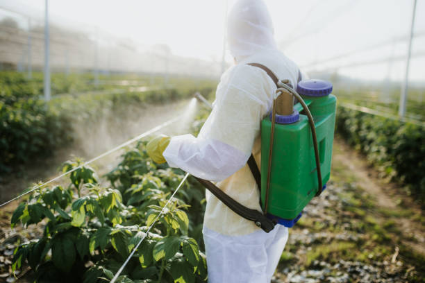 Wildlife Control Services in Belvidere, IL